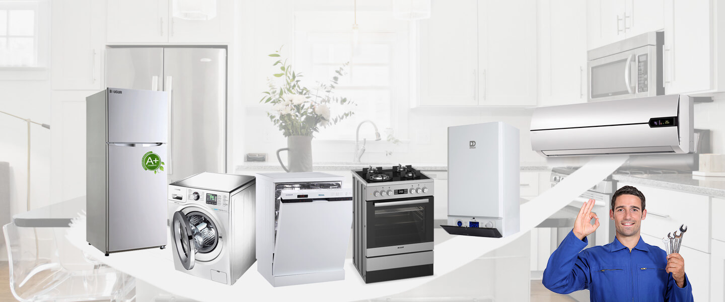 Çınarcık Electrolux Servisi